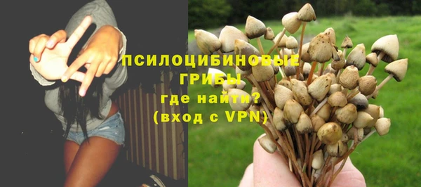 стафф Богородицк