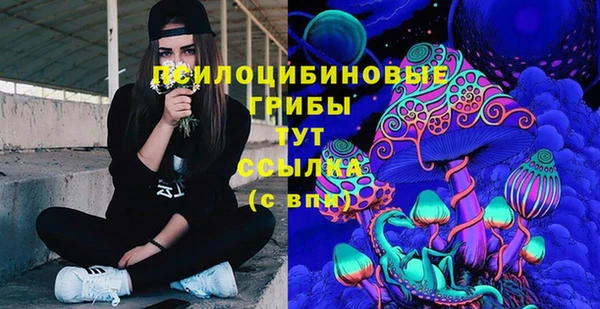 не бодяженный Богданович