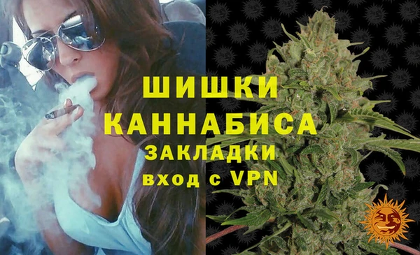 стафф Богородицк