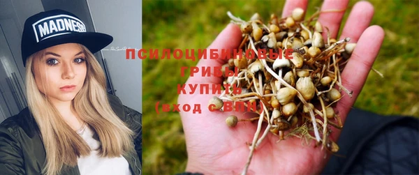 не бодяженный Богданович