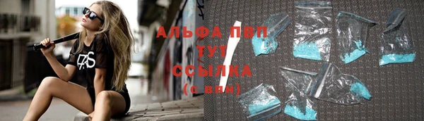 стафф Богородицк