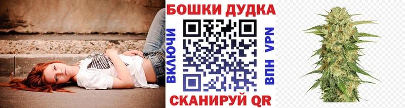 Бошки марихуана индика  Ковылкино 